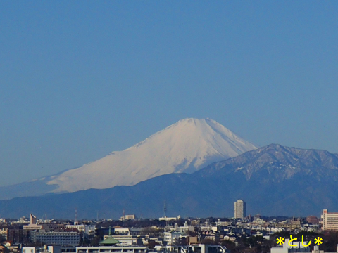 富士山