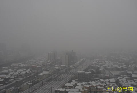 横浜は、朝のうち、雪！