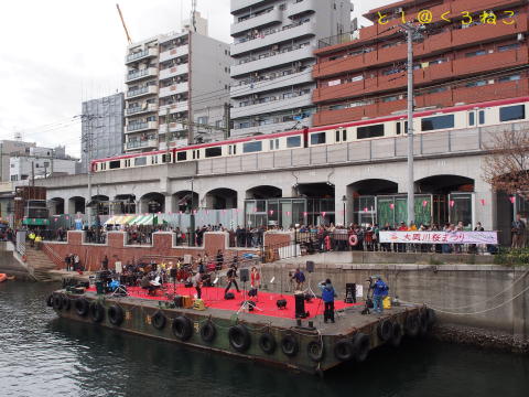 横浜・大岡川 桜まつり 満開 お花見