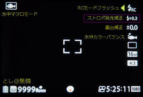 オリンパス TG-4 ファームウェア 2.0に更新