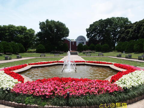 横浜 港の見える丘公園 散歩