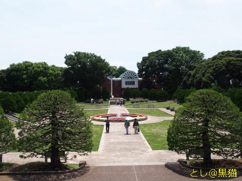 横浜 港の見える丘公園 散歩