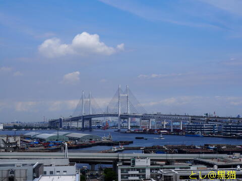 横浜 港の見える丘公園 散歩