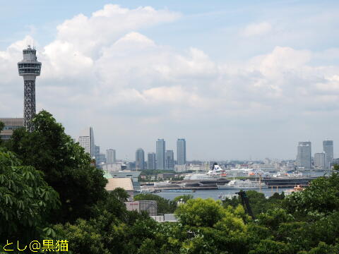 横浜 港の見える丘公園 散歩