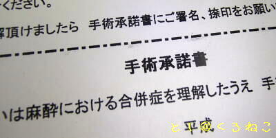 ”手術承諾書”