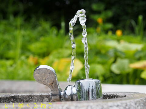 水飲み場