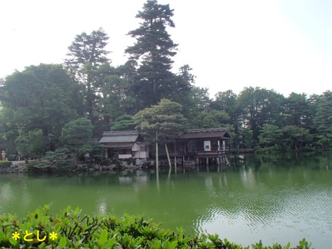 霞が池に浮かぶように見える内橋亭