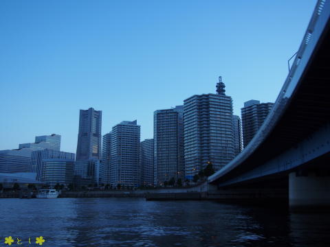 高島町の超高層マンション群