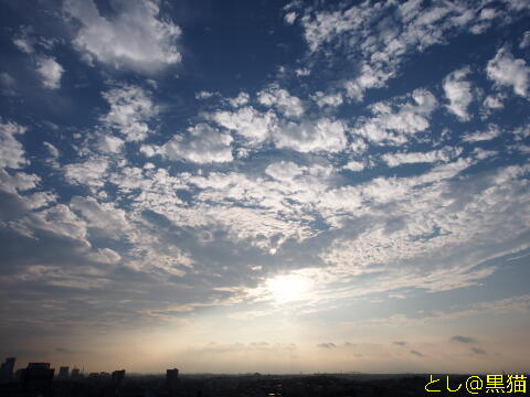 秋の空