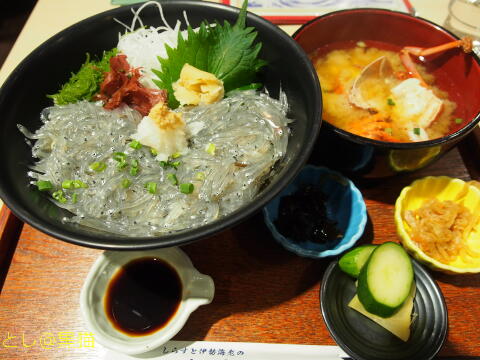 生シラス丼と伊勢海老の味噌汁