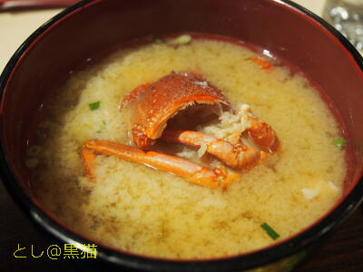 生シラス丼と伊勢海老の味噌汁