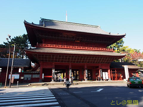 芝・増上寺、東京タワー、芝公園を散歩