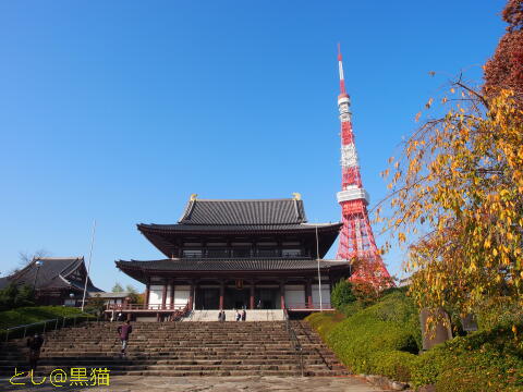 芝・増上寺、東京タワー、芝公園を散歩