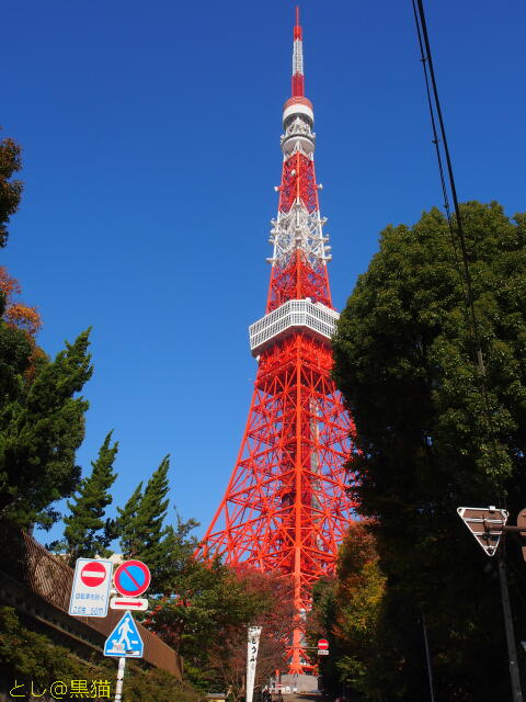 芝・増上寺、東京タワー、芝公園を散歩