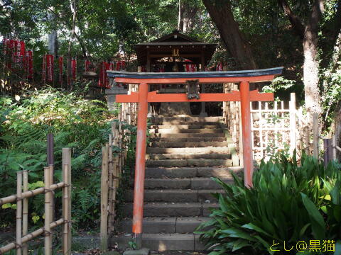 芝・増上寺、東京タワー、芝公園を散歩