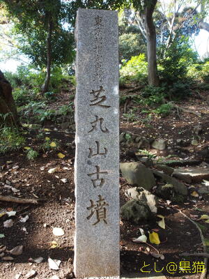 芝・増上寺、東京タワー、芝公園を散歩