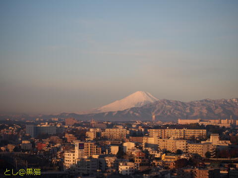 富士山