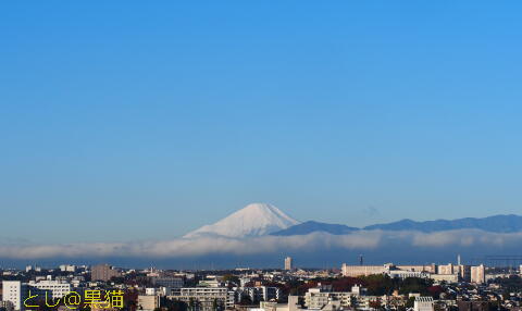 富士山