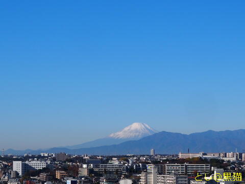 富士山