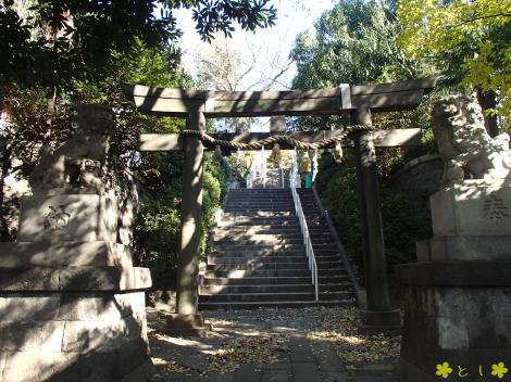 「わが町 かながわ 50選」 一之宮神社