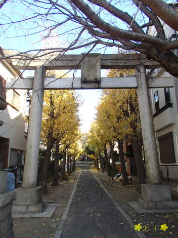 「わが町 かながわ 50選」 一之宮神社