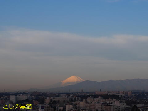 富士山