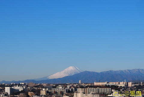 富士山