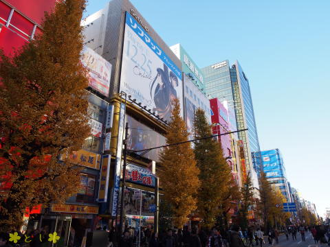 秋葉原 ホコ天