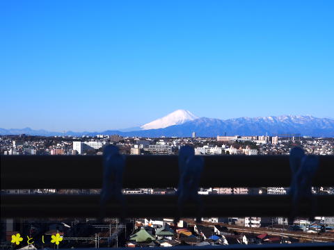 物干し竿越しに富士山