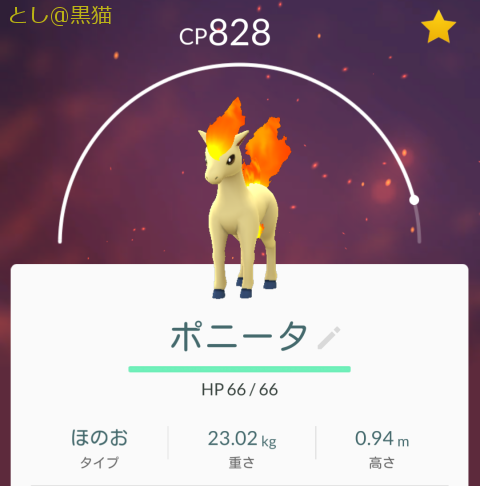 ポケモン GO レベル 20の壁