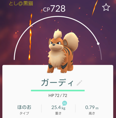 ポケモン GO レベル 20 超えたら苦行 ＃３