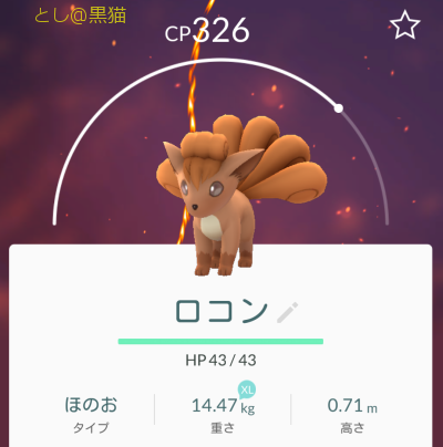 『ピカチュウ大量発生チュウ！』で ポケモン GO  《2回目》