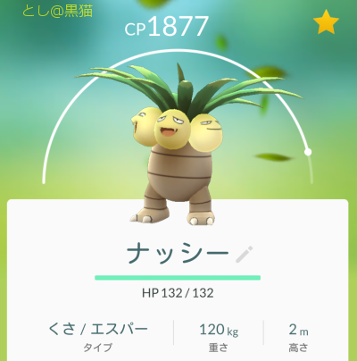 10日ぶりの 《ガチ》 ポケモン GO