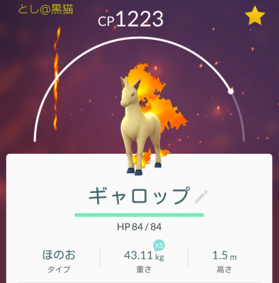 10日ぶりの 《ガチ》 ポケモン GO