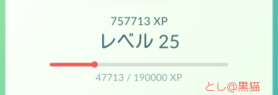 ピカチュウ！ 夜のお台場 ポケモン GO