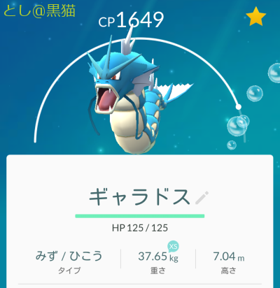 ポケモン GO レベル 20 超えたら苦行 ＃４