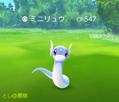 細々と ポケモン GO 続けています