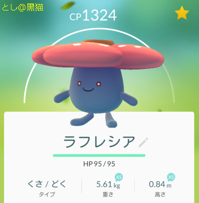 細々と ポケモン GO 続けています