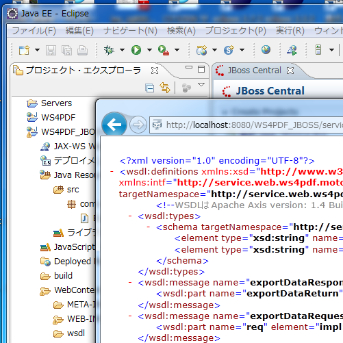 IE9上で、WSDLが表示されることを確認