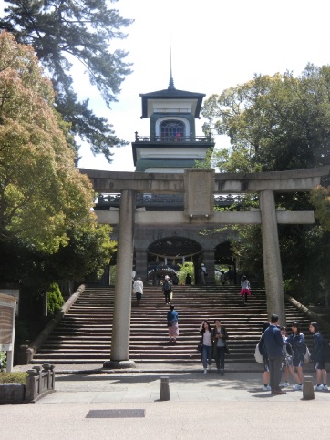 金沢 尾山神社 菊桜、玉泉院庭園 お抹茶