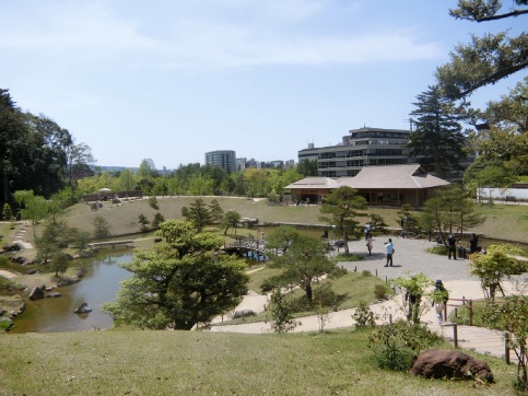 金沢 尾山神社 菊桜、玉泉院庭園 お抹茶