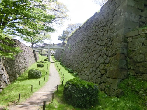 金沢 尾山神社 菊桜、玉泉院庭園 お抹茶