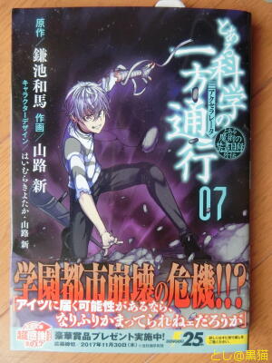 とある魔術の禁書目録外伝 とある科学の一方通行(7)