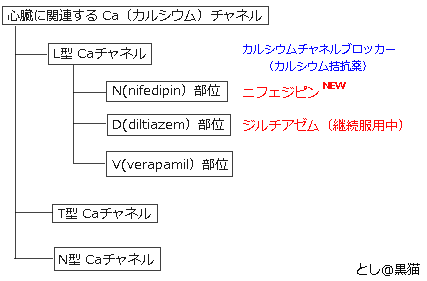 カルシウム拮抗薬