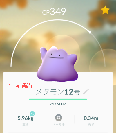 ポケモン GO PLUS ゲットだぜ！