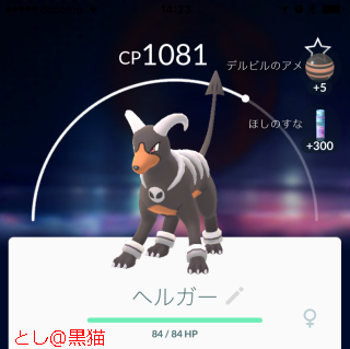 レア度 A＋以上のポケモン 