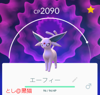 レア度 A＋以上のポケモン 