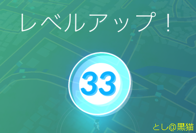 レベル 33