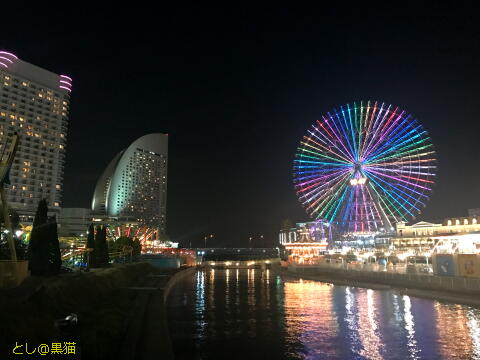 夜の日本丸散歩ワークアウト