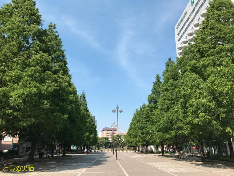 大通り公園を散歩